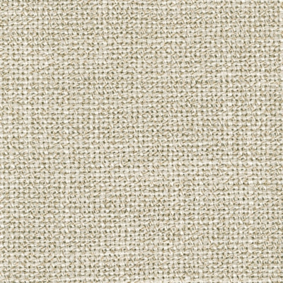 10006S4-COLOR