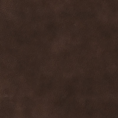 2170620C-COLOR