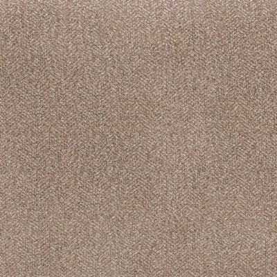 3020438-COLOR
