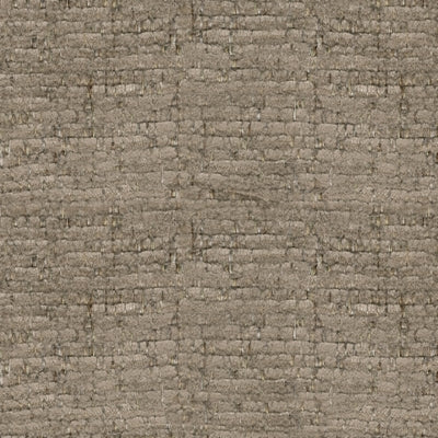 3130435-COLOR