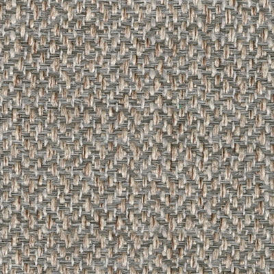 3730735-COLOR