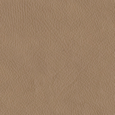 3800608C-COLOR