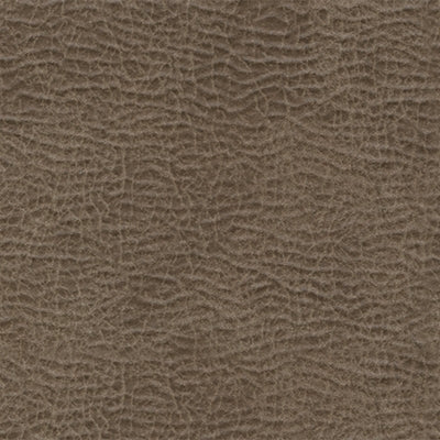 3990594C-COLOR