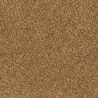 4100235-COLOR