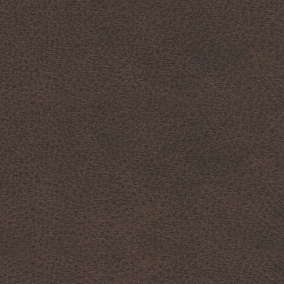 5550320-COLOR
