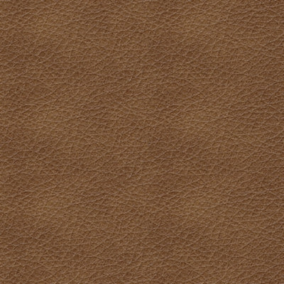 5560325C-COLOR