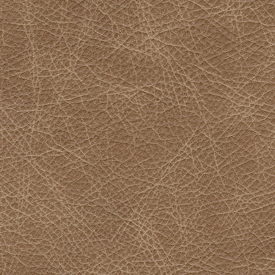 5730223C-COLOR