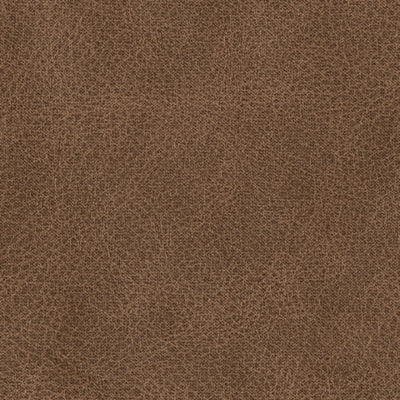 7490935-COLOR