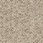Pebble
