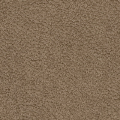 7610608-COLOR