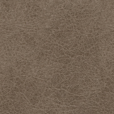 9400435-COLOR