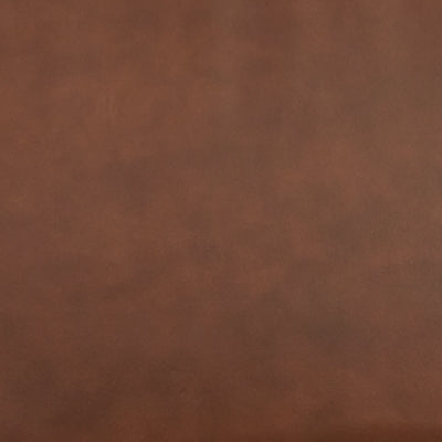 A3000193-COLOR