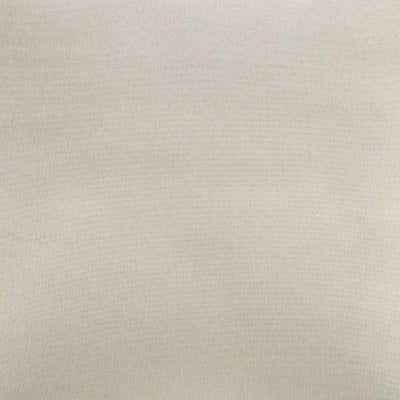 A3000271-COLOR