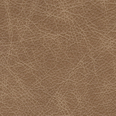 A3000323C-COLOR