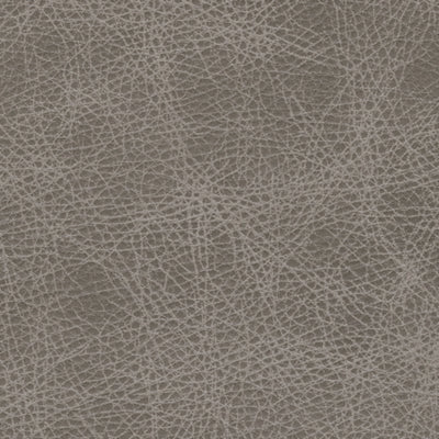 A3000324C-COLOR
