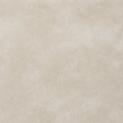 A3000694-COLOR