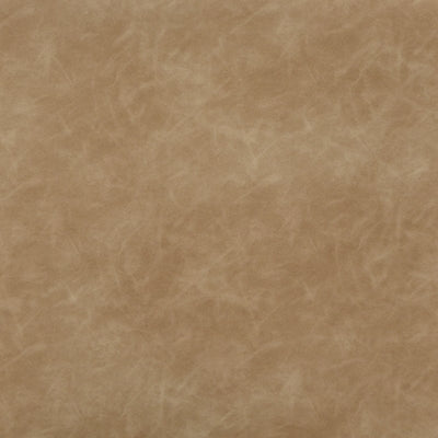 A3000695-COLOR