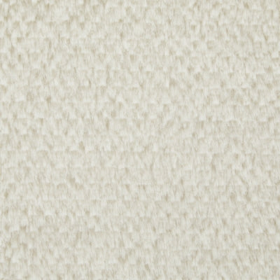 A3000697-COLOR