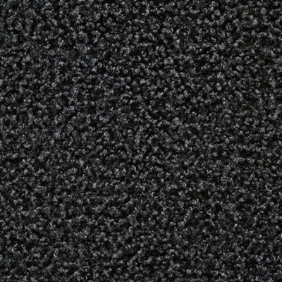 A3000698-COLOR