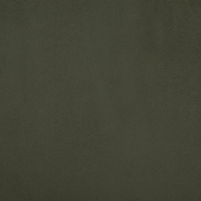 A3000740-COLOR
