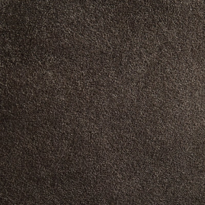 A3000746-COLOR