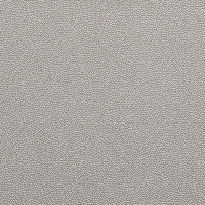 A4000335-COLOR