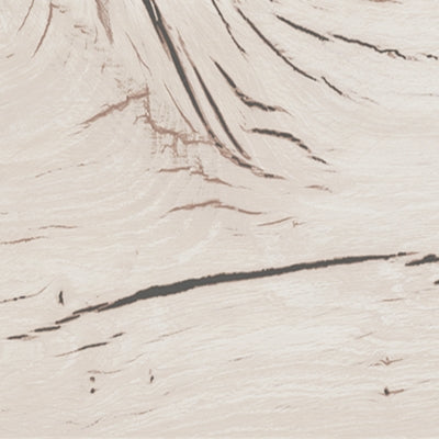 B2310B11-COLOR