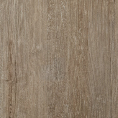 EB2270B2-COLOR