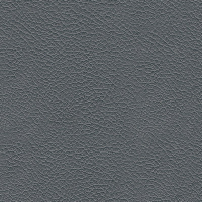 U5950413C-COLOR